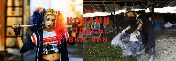 бошки Белоозёрский